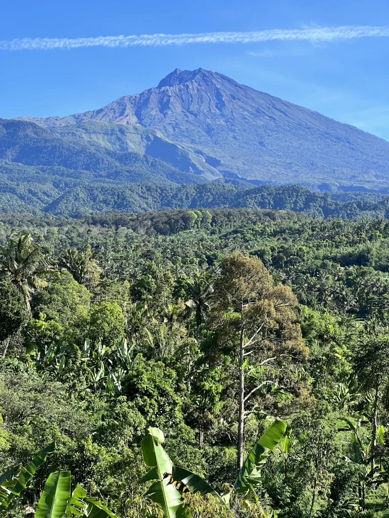 Vue sur le Rinjanni depuis Lombok